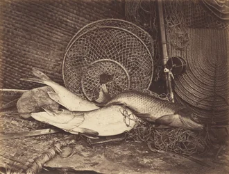 Still Life with Carp and Pike